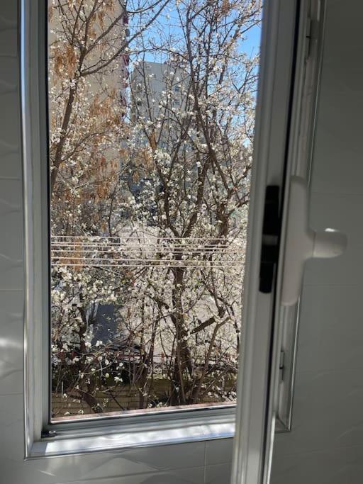 Warm Apartment In The Center Of Tirana City Εξωτερικό φωτογραφία
